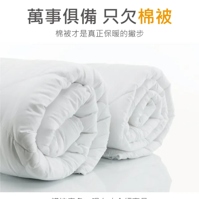Darphia 朵法亞 90 10 天然羽絨冬被 棉被 冬天棉被 羽絨 雙人 台灣製造 羽絨冬被 雙人款 Momo購物網 雙11優惠推薦 22年11月