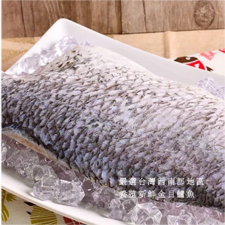 【江醫師健康鋪子】金目鱸魚片5片組(350g/片)