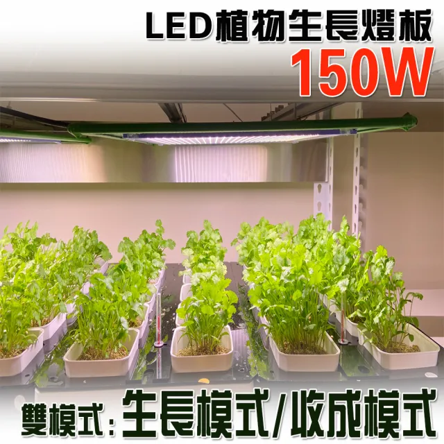 Jiunpey 君沛 燈板系列150瓦吊掛式雙色光譜植物燈植物成長專用燈 植物生長燈 Momo購物網