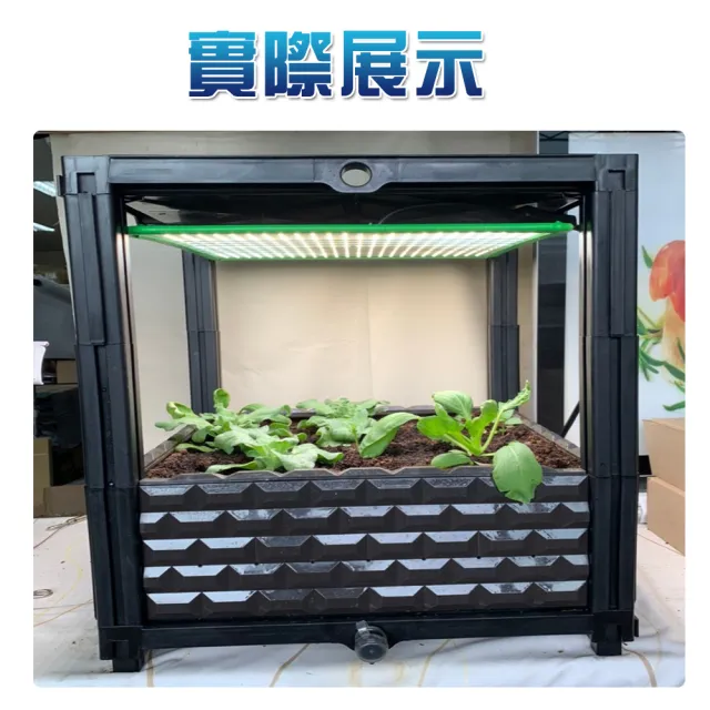 Jiunpey 君沛 雙色溫調光型全光譜有機蔬菜種植 育苗生長箱50瓦植物燈生長箱 Led生長栽培箱 Momo購物網