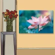 【24mama 掛畫】單聯式 油畫布 池塘 美麗花卉 開花 荷葉 植物 無框畫-60x40cm(荷花與蓮藕)