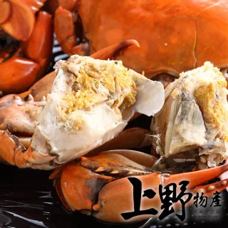 【上野物產】菲律賓進口 南洋活凍5兩紅蟳 x6盤(海鮮 螃蟹)