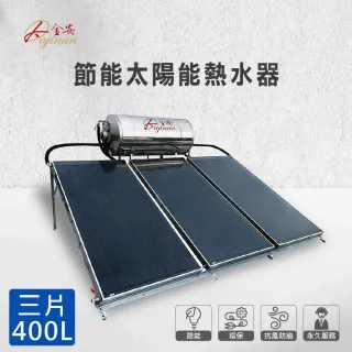【大金安】節能太陽能熱水器400L全省安裝(DJ-4003LM)