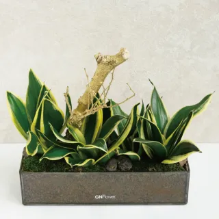 10bet Hx64 Com Cn Coco 西恩 Momo購物網