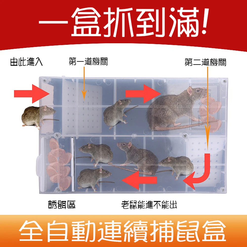 連續捕鼠盒 全自動連續捕鼠器 鼠洞式通道捕鼠籠(獨立誘餌區老鼠籠 滅鼠器)