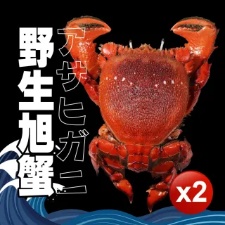 【無敵好食】野生大旭蟹 x2(650g/隻_600g~700g)