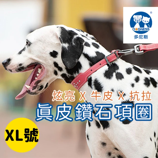 【美好寵商】DOGNESS多尼斯 真皮系列鑽石項圈_XL號(狗項圈 狗狗項圈 真皮項圈)