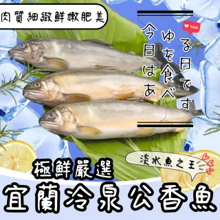 宜蘭外銷日本產銷履歷肥美公香魚