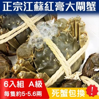 【RealShop 真食材本舖】正宗活體江蘇紅膏大閘蟹 A級 6隻入(每隻約5~5.6兩 不含繩重 死蟹包換)