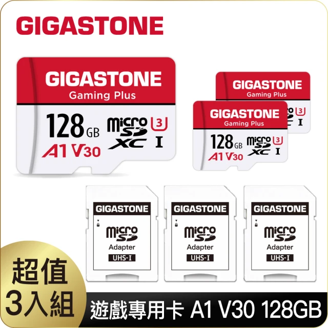 Gigastone 立達國際 CFexpress Type 