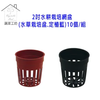 蔬菜工坊005 C78 1 3吋水耕栽培網盆10個組黑色 水草栽培盆 定植籃 Momo購物網 好評推薦 23年1月