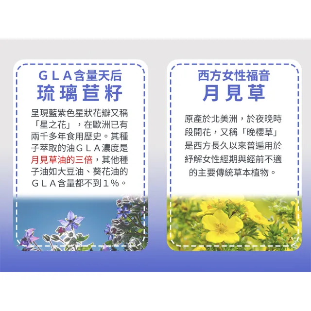 【Candice康迪斯】天然琉璃苣油膠囊/月見草油 四瓶組(60顆/瓶)