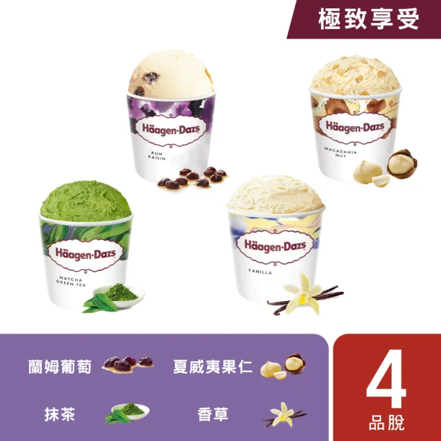 【Haagen-Dazs 哈根達斯】寵愛品脫系列組(品脫四入或品脫三入+迷你杯75ML六入)