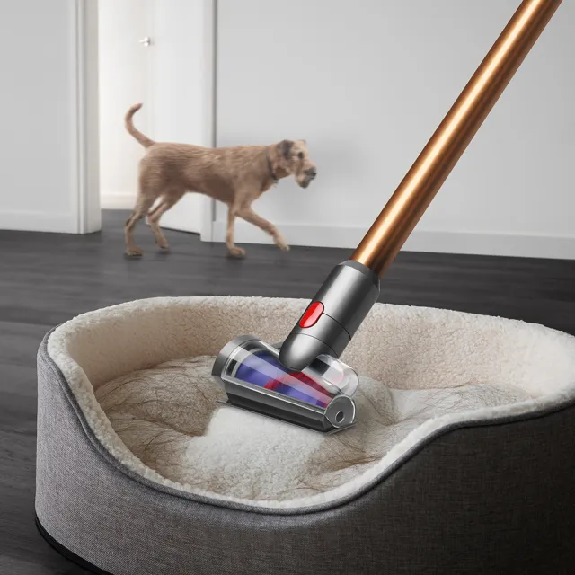 【dyson 戴森】V12 Detect Slim Fluffy Plus SV34吸塵器(普魯士藍)+ V8 Focus Mattress 除蟎機(1+1超值組)