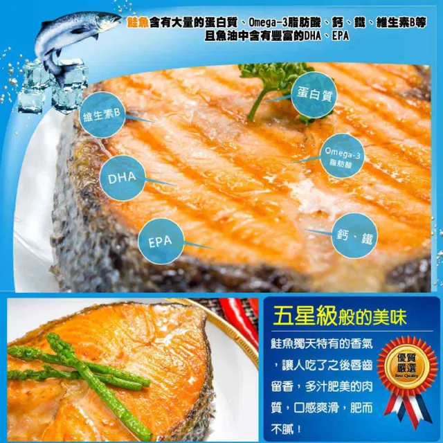 【鮮綠生活】智利頂級鮭魚切片(220g±10%/包 共14包)