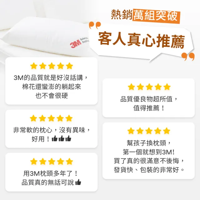【3M】健康防蹣枕心超值2入組-標準型(限量版/德國表布升級版)
