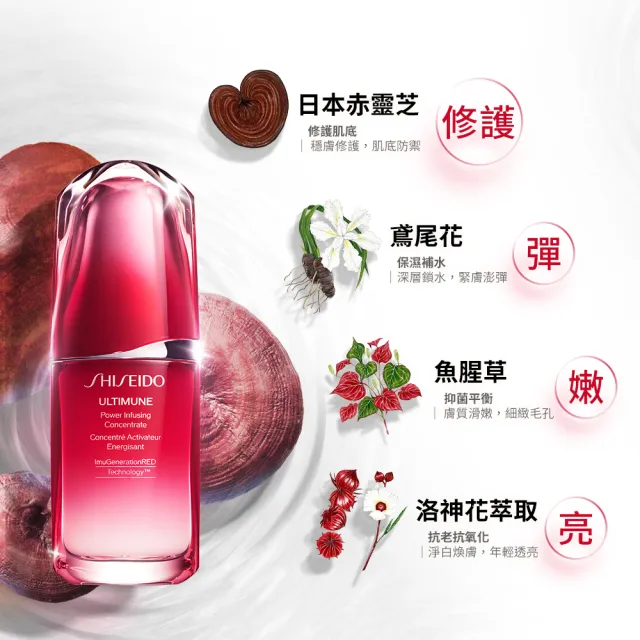 SHISEIDO 資生堂國際櫃】紅妍超導循環透亮組(紅妍超導循環肌活露50ml+激透光水乳霜30ml) - momo購物網- 好評推薦-