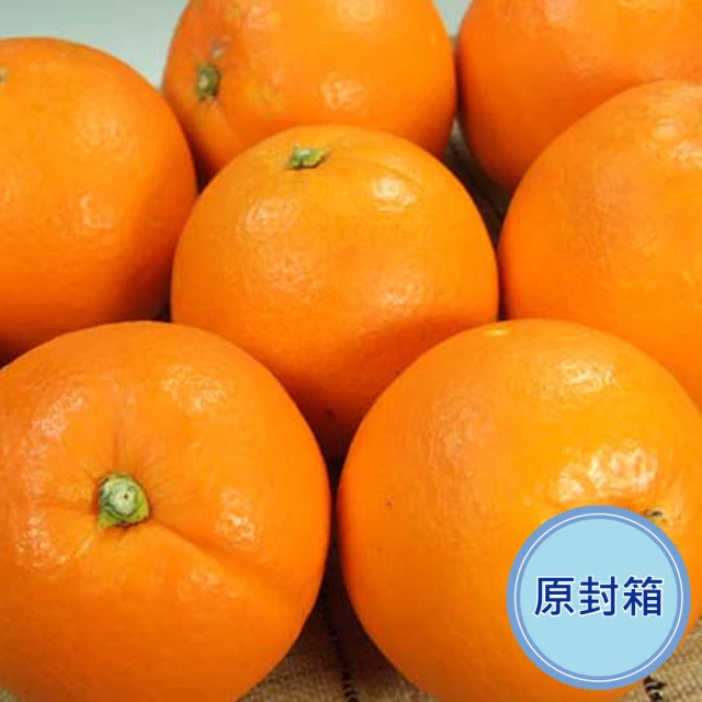 柑橘