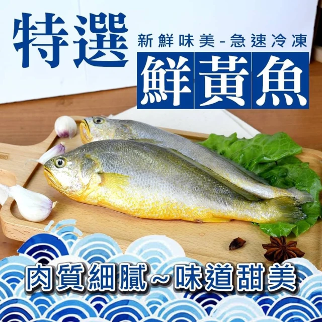 【好神】去鰓肚鱗黃魚10尾組(180-250g/尾)