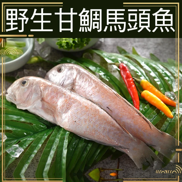 野生馬頭魚超值組