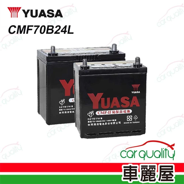 湯淺 歐規電池 免保養 YU-LN2 送基本安裝(車麗屋) 