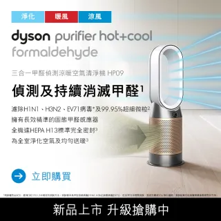Dyson 很pro涼暖清淨系統(白金)