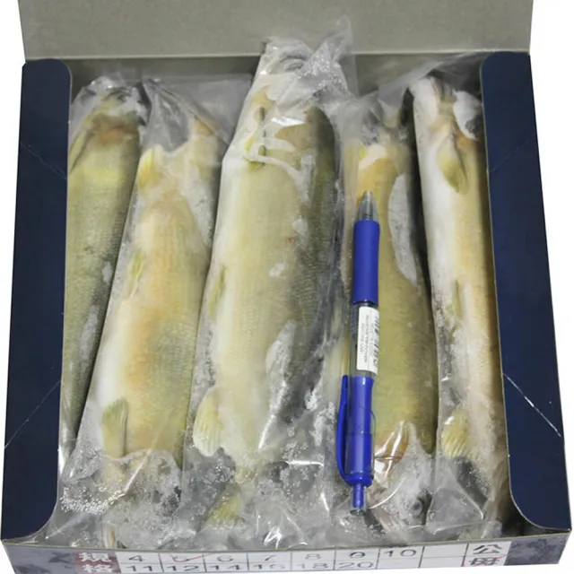 【急凍饗宴】宜蘭特選  冷凍母香魚(920g 5尾入/盒)
