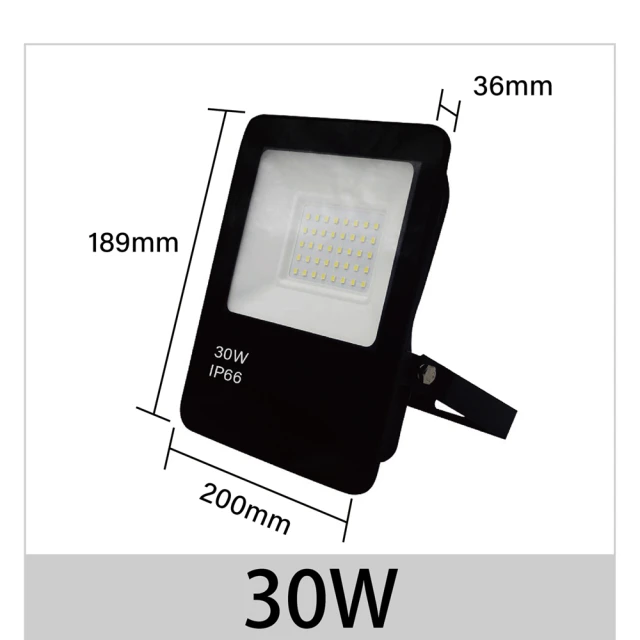 青禾坊青禾坊 歐奇OC 30W LED 戶外防水投光燈 投射燈-2入(超薄 IP66投射燈 CNS認證)