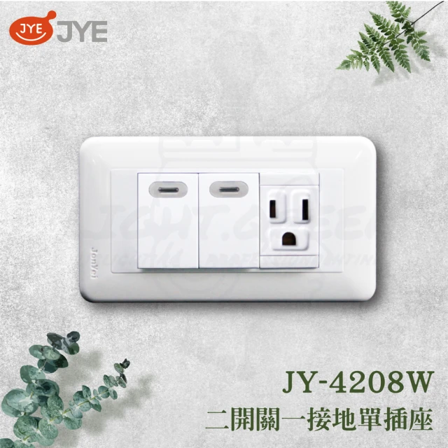 中一電工 JYE 5入組 PANDA 熊貓系列 夜光壁切(二開關一插座蓋板組 JY-4206W)