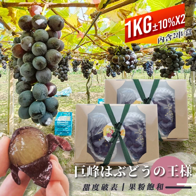 果樹寶石 卓蘭特秀巨峰葡萄2房x2盒（1公斤±10%/盒）(日本指定農場 國寶精萃等級)