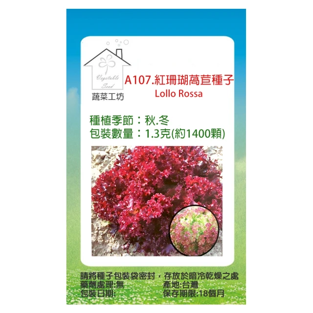 【蔬菜工坊】A107.紅珊瑚萵苣種子(Lollo Rossa 不結球萵苣)