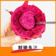 【光合果物】特級紅肉火龍果 大顆 家庭號(4-5顆/箱)