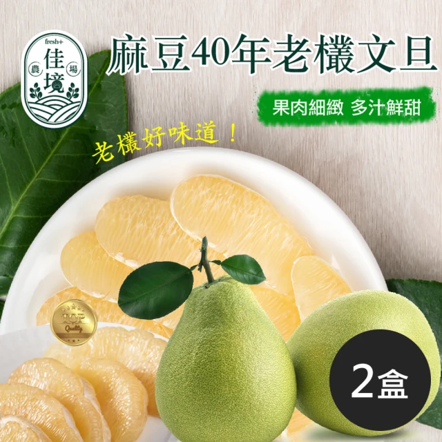 阿成水果 台南麻豆40年老欉文旦禮盒11~13粒/10台斤x