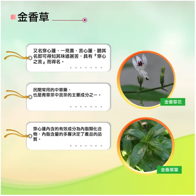 【湧鵬生技】金香草素食膠囊6入組(金香草 療肺草 日本專利黑蒜 每盒30顆 共180顆)