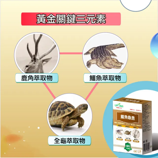 【湧鵬生技】鱷魚龜鹿6入組(鱷魚;全龜;鹿角;每盒60顆;共360顆)