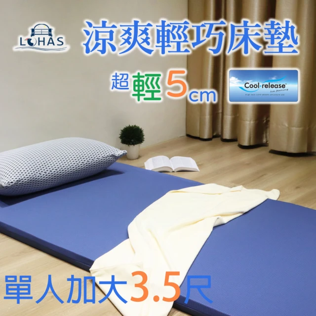 Fotex 芙特斯 Fotex防蟎舒壓雙人記憶床墊(極柔綿恆