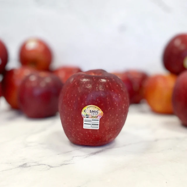 舒果SoFresh 美國富士蘋果#64s(64顆/約20kg