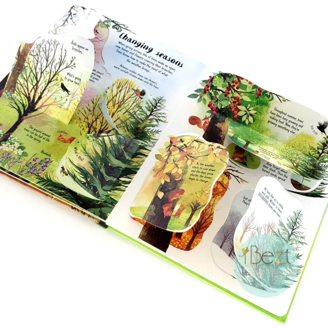 【iBezT】Trees(Usborne Lift-the-Flap翻翻書)