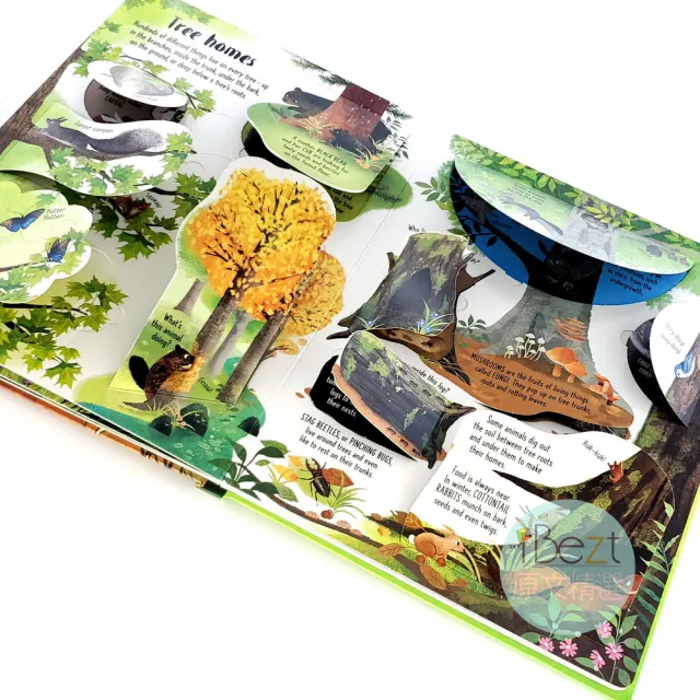 【iBezT】Trees(Usborne Lift-the-Flap翻翻書)