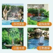 【沐森活  MuLife】太陽能LED戶外水池噴泉(太陽能/六款噴頭)