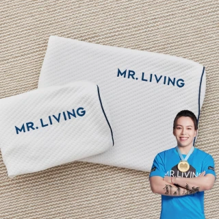 【MR. LIVING 居家先生】護頸減壓蝶型記憶枕-專用枕套(不適用於一般枕頭)