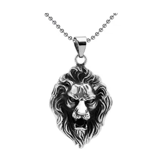 【A MARK】萬獸之王獅頭造型鈦鋼項鍊(鈦鋼項鍊 獅頭項鍊)