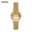 【FOSSIL 官方旗艦館】Carlie 喜氣虎年迎春女錶 金色米蘭帶 28MM 指針手錶 ES5155