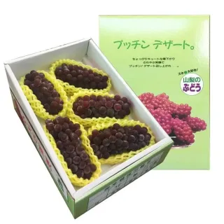 【RealShop】日本石川/島根/山梨縣珍珠香檳葡萄淨重650gx1盒禮盒(產地隨機 真食材本舖)