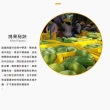 【光合果物】台灣大顆紅肉木瓜 5斤裝(約3-4大顆/箱)