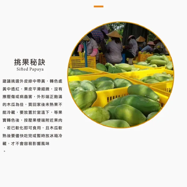 【光合果物】台灣大顆紅肉木瓜 15斤裝(約12-15大顆/箱)
