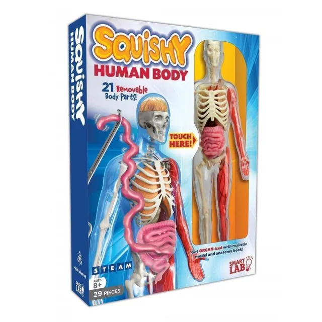 Squishy Human Body （人體模型）