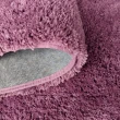 【Fuwaly】凱莉地毯-紫-200x300cm(抗菌地毯系列 CA_06)