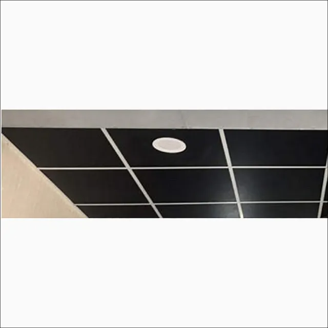 【特力屋】黑色石膏天花板2x2尺x9.5mm