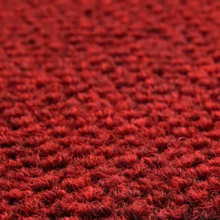 【特力屋】 混色線圈刮泥TPR地墊/踏墊/門墊 深紅 60x90cm